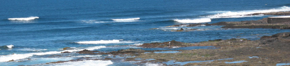 Kate and Larissa Seldom